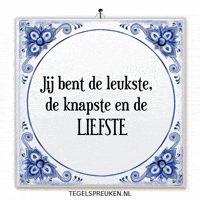 Support Nl GIF by Tegelspreuken.nl