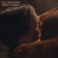 allcreaturestv animals cow stuck arm GIF