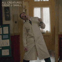 allcreaturestv animals eating cookie skill GIF
