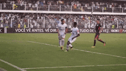 santos fc GIF by Santos Futebol Clube