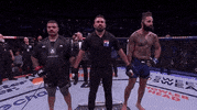 Mixed Martial Arts Sport GIF by UFC