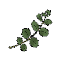 Flower Eucalyptus Sticker