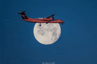 Moon Flying GIF