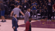 nba finals hill GIF by NBA