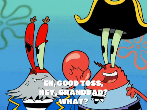 season 6 grandpappy the pirate GIF by SpongeBob SquarePants
