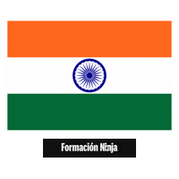 India Flag Sticker by Formación Ninja