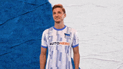 Football Berlin GIF by Hertha BSC
