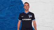 Bundesliga Berlin GIF by Hertha BSC