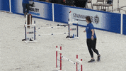 Espn Dogs GIF by American Kennel Club