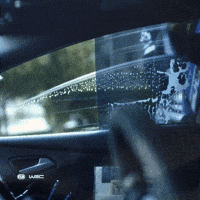 Driving Car Wash GIF by FIA World Rally Championship