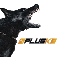 plusk9 dog pets beast mode odin Sticker