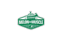 Watermelon Challenge Sticker by everfit.io
