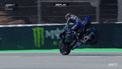 Happy Fabio Quartararo GIF by MotoGP™