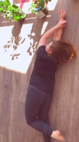 ciannemckinnon giphygifmaker giphyattribution GIF