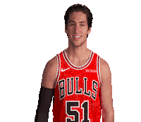Ryan Arcidiacono Sticker by Chicago Bulls