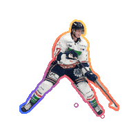 Player Ishockey Sticker by WhiteHawks