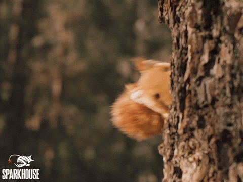 Uh Oh Oops GIF by TheSparkhouse