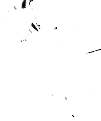 Party Skateboard Sticker by simplesession