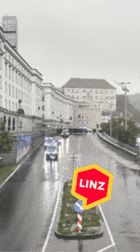 Bundesliga Fans GIF by Linz News