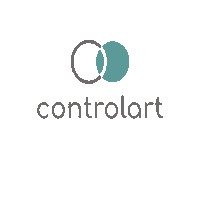 controlart home casa control smarthome Sticker
