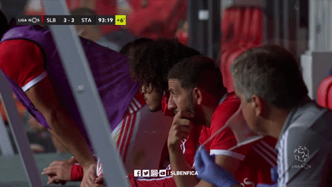Sl Benfica Slbgif GIF by Sport Lisboa e Benfica