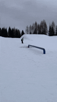 Boardslide GIF by bonebinding