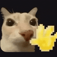 Cat Meme GIF