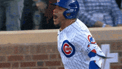 Chicago Cubs Sport GIF by MLB