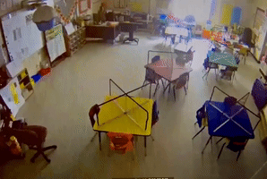 Deer Bursts Into Elementary School Classroom in Alabama