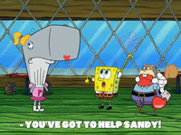 season 8 bubble troubles GIF by SpongeBob SquarePants