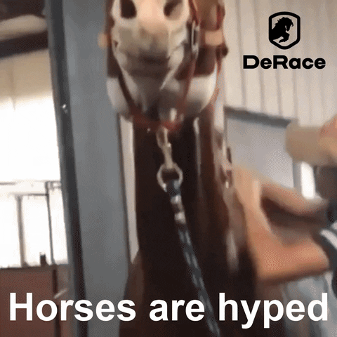 Crypto Cryptocurrency GIF by :::Crypto Memes:::