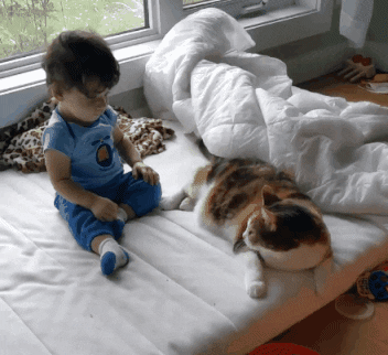 Tired Cat GIF by Demic