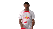 Football Thumbs Up Sticker by RB Leipzig