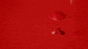 stop motion love GIF by Caitlin Craggs