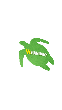 Sticker by Turtle Bay