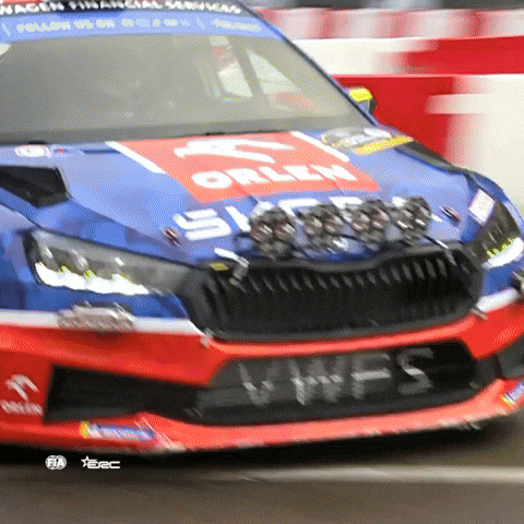 Racing Motorsport GIF by FIA European Rally Championship