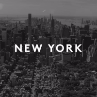 GIF by Viral Amplifier