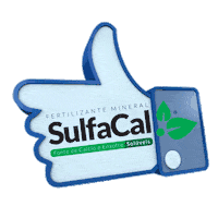 sulgesso sulgesso sulfacal Sticker