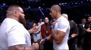 Mixed Martial Arts Sport GIF by UFC