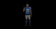 Football Sports Sport GIF by Detroit Lions