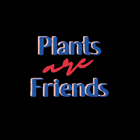 FriendsorFriends giphygifmaker friends plant plants GIF