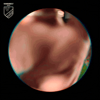 Sport Celebrate GIF by Vanderbilt Athletics