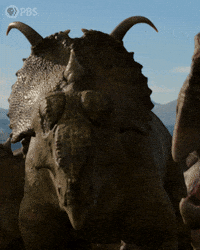 Walking With Dinosaurs Dinosaur GIF by PBS