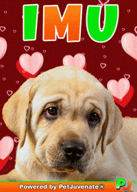 Henlo Hooman Fren GIF by PetJuvenate - PJ