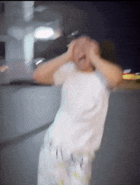 Dolphin Bromance GIF