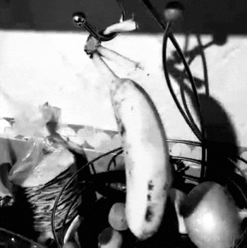Video gif. A black and white shot of a lone banana. It's the last of its bunch and it swings back and forth from a banana holder.