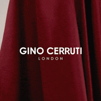 GIF by GINO CERRUTI