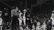 Cincinnati Football GIF by Cincinnati Bearcats