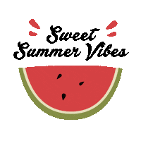 Summer Diy Sticker by Board & Brush Creative Studio