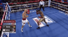 toprank fight boxing fighting espn GIF